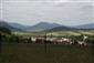 Nížinné a podhorské kosné lúky (14.6.2014)